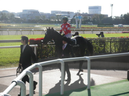 f:id:black_ship:20121104140244j:image f:id:black_ship:20121104140244j:image