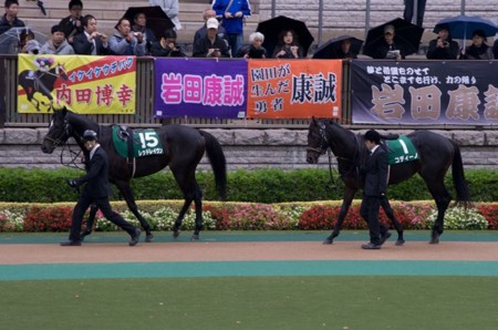f:id:black_ship:20121117221349j:image f:id:black_ship:20121117221349j:image