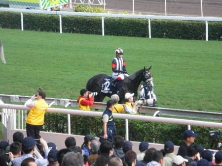 f:id:black_ship:20121209152149j:image f:id:black_ship:20121209152149j:image