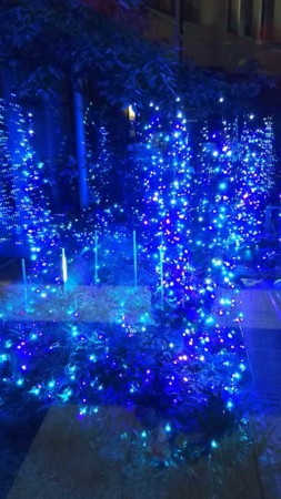 f:id:black_ship:20151212172613j:image f:id:black_ship:20151212172613j:image