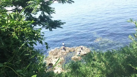f:id:black_ship:20170604133949j:image f:id:black_ship:20170604133949j:image