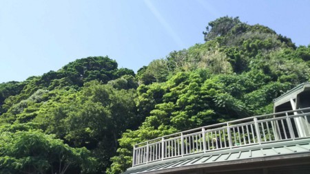 f:id:black_ship:20170604141906j:image f:id:black_ship:20170604141906j:image