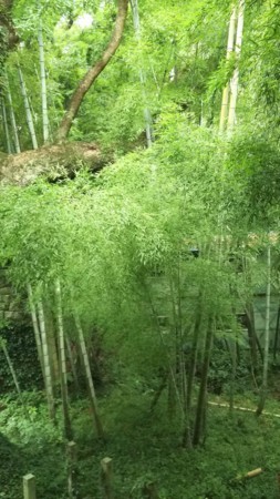 f:id:black_ship:20170904125557j:image f:id:black_ship:20170904125557j:image