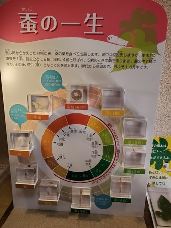 f:id:black_ship:20191028184439j:image f:id:black_ship:20191028184439j:image