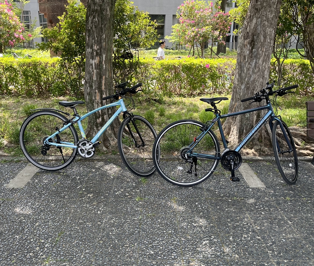 momentum ineed z3    BRIDGESTONE XB1