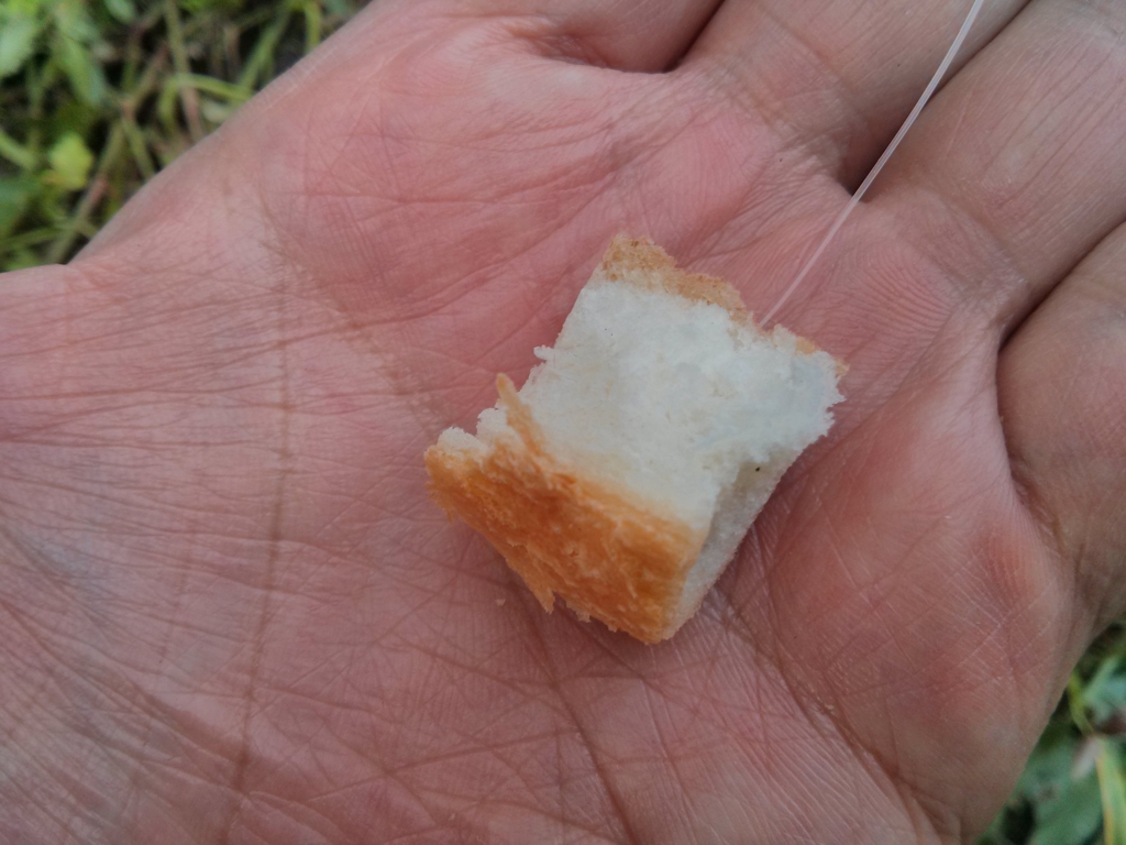 鯉釣り百匹 3 フライタックルでもやってみました 黒色中国blog 鯉釣り百匹 3 フライタックルでもやってみました 黒色中国blog