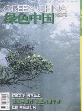 f:id:blackchinainfo:20180407211134j:plain f:id:blackchinainfo:20180407211134j:plain