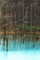 [2010北海道]