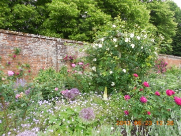 f:id:blackiex:20151219185841j:plain f:id:blackiex:20151219185841j:plain