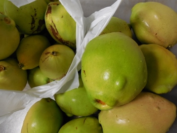 f:id:blackiex:20161119184105j:plain f:id:blackiex:20161119184105j:plain