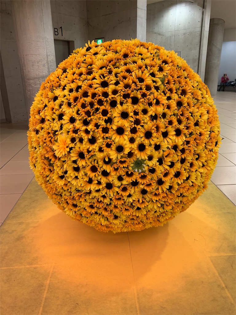 f:id:blackjunjun:20190117121934j:image f:id:blackjunjun:20190117121934j:image