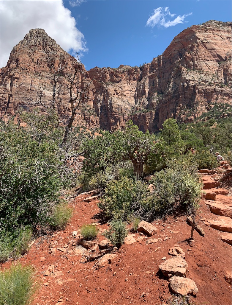 f:id:blackjunjun:20190615125707j:image f:id:blackjunjun:20190615125707j:image