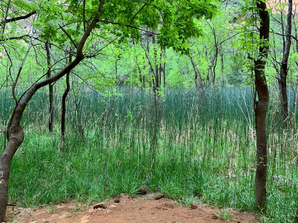 f:id:blackjunjun:20190615125712j:image f:id:blackjunjun:20190615125712j:image