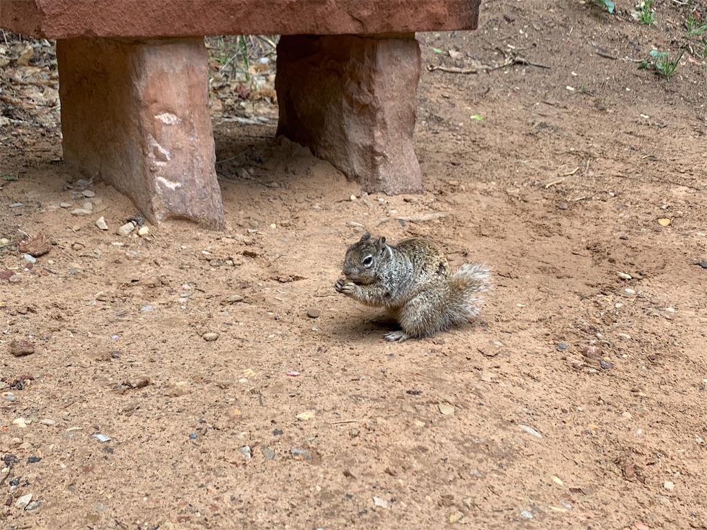 f:id:blackjunjun:20190615125725j:image f:id:blackjunjun:20190615125725j:image