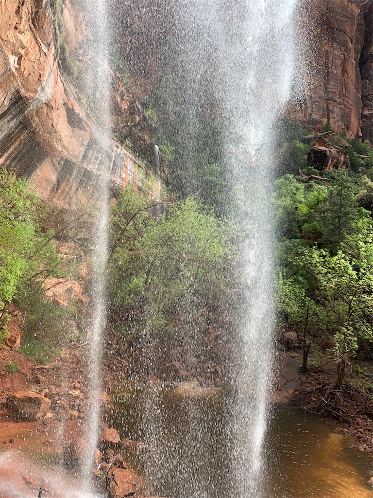 f:id:blackjunjun:20190615125742j:image f:id:blackjunjun:20190615125742j:image