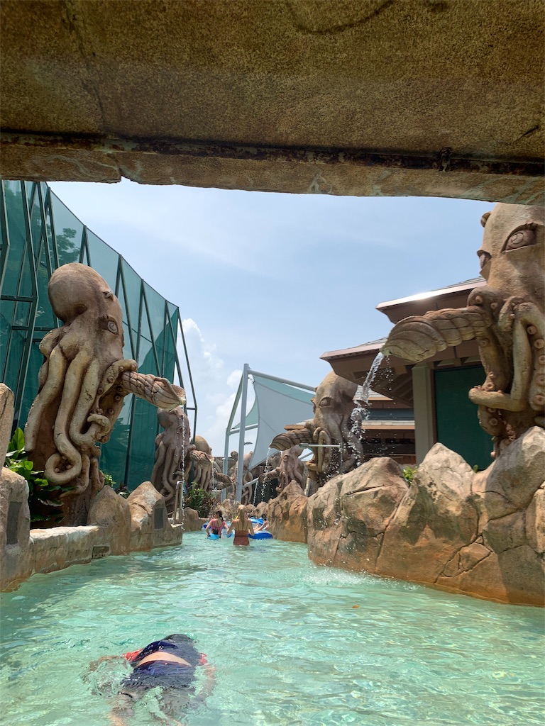 f:id:blackjunjun:20190805224239j:image f:id:blackjunjun:20190805224239j:image