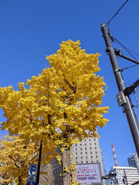 f:id:blackrock727:20221223163835j:image f:id:blackrock727:20221223163835j:image