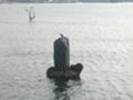 不如帰の碑