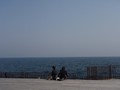 20080430194940