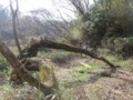 20100324180011