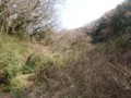 20100324180012
