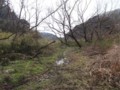 20100324183247
