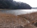 20100324183422