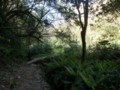 20100403213135