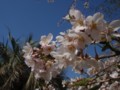 20100403222538