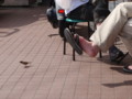 20100522203342