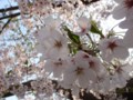 20110411205201