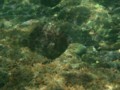 20110916215349