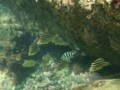 20110916215351