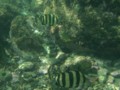20110916215352