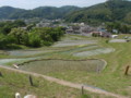 tanada1
