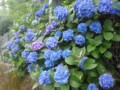 20130618182106
