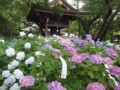 20130618182108