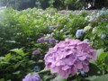 20130618182109
