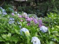 20130618182111
