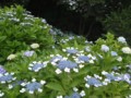 20130618182113
