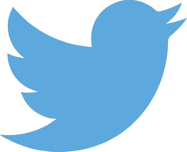 f:id:blacksinging:20210226215735p:plain