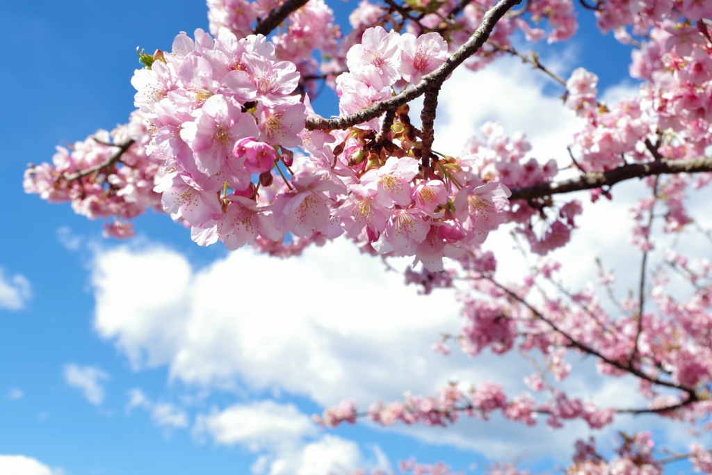 f:id:blacksnivy:20170417211331j:plain