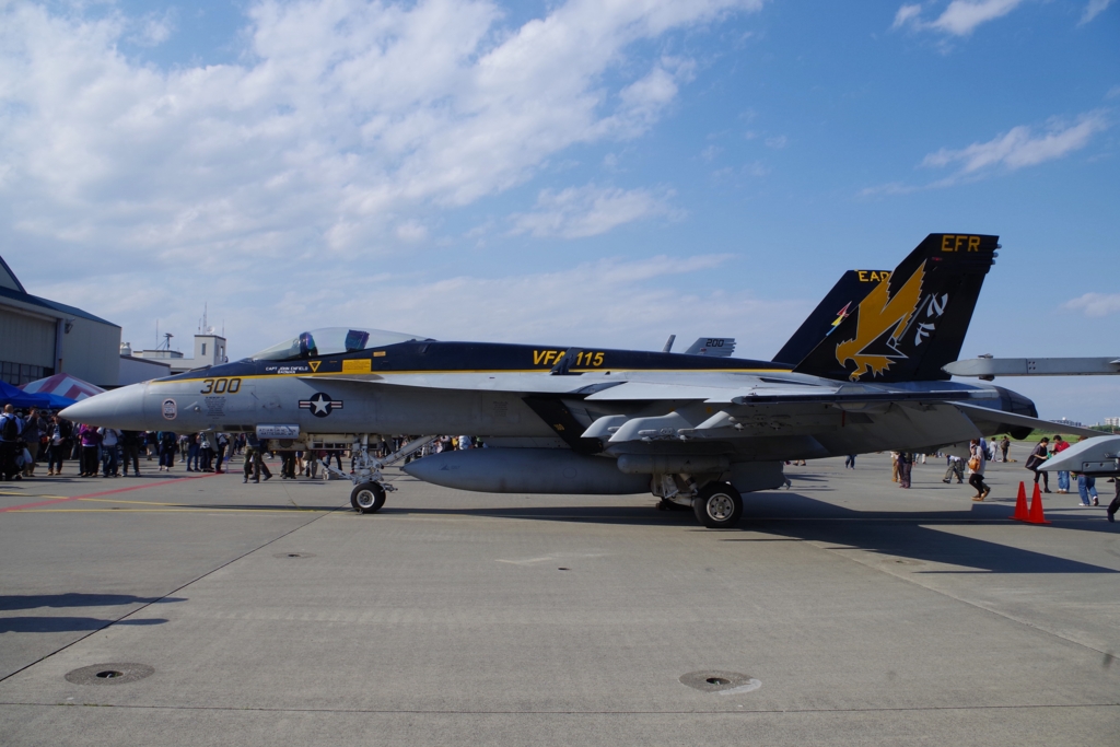 f:id:blacksnivy:20170521190045j:plain f:id:blacksnivy:20170521190045j:plain