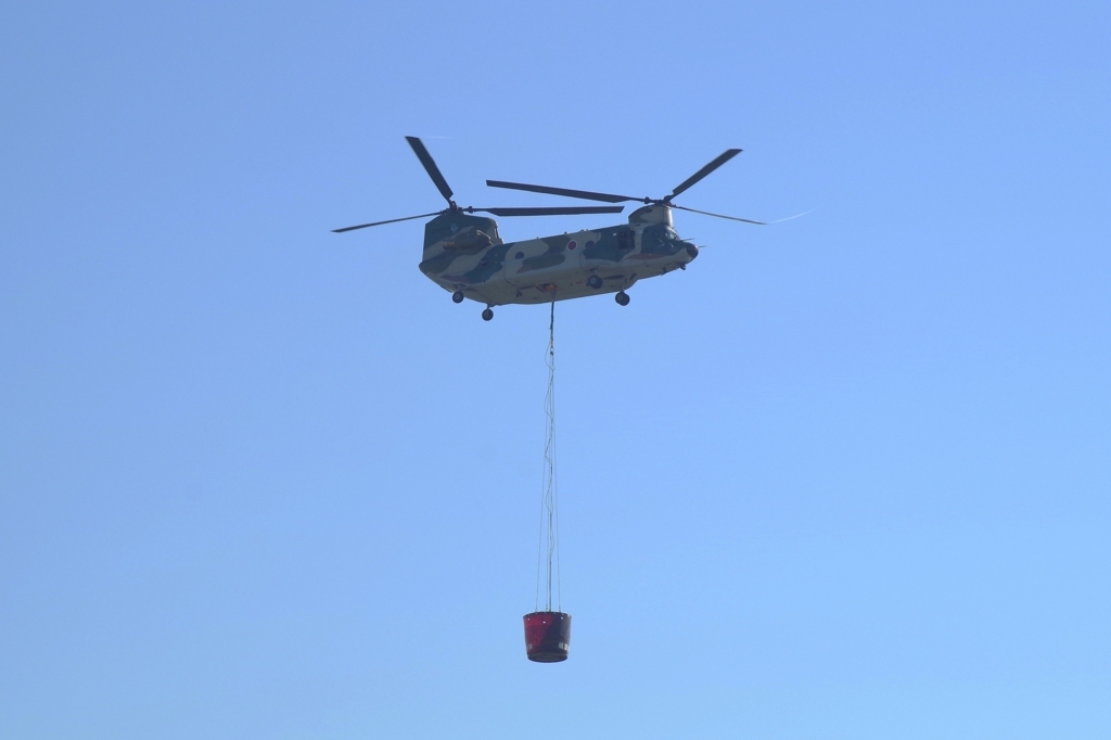 f:id:blacksnivy:20171103091522j:plain f:id:blacksnivy:20171103091522j:plain