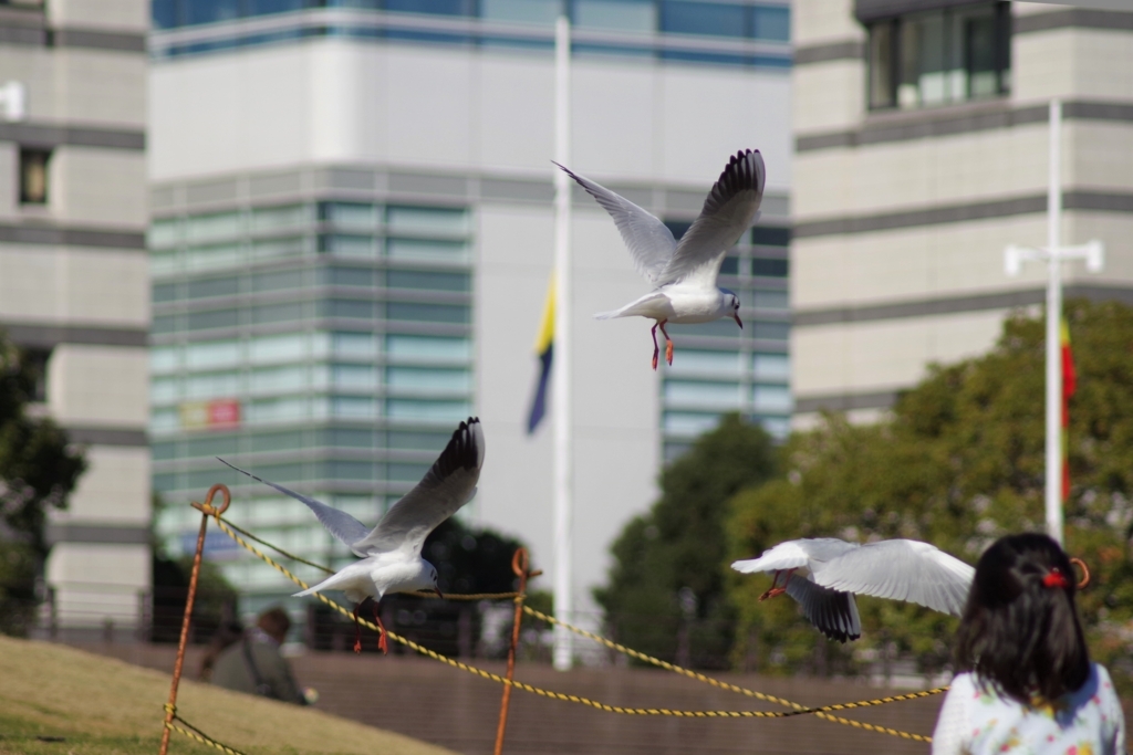 f:id:blacksnivy:20171209125850j:plain