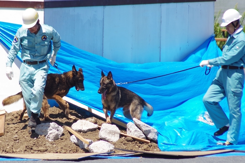 f:id:blacksnivy:20181030221127j:plain f:id:blacksnivy:20181030221127j:plain