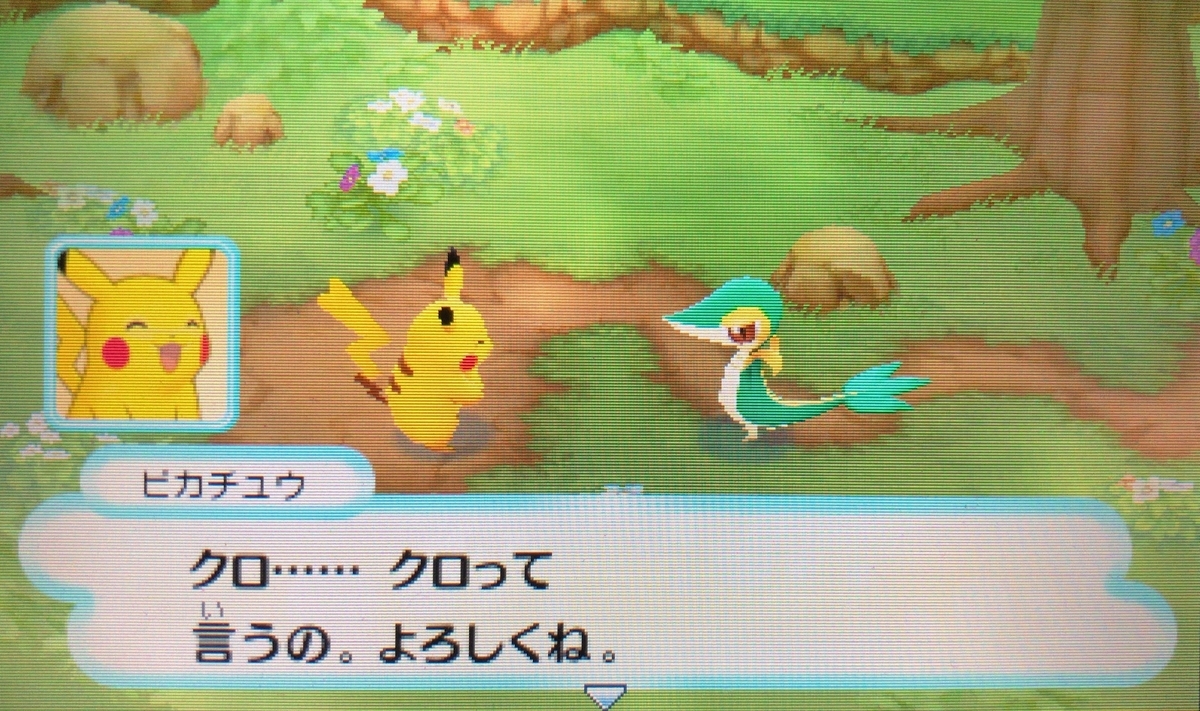 f:id:blacksnivy:20190324020124j:plain f:id:blacksnivy:20190324020124j:plain