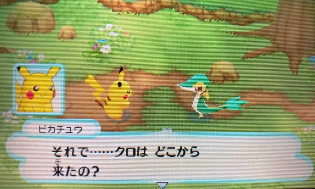 f:id:blacksnivy:20190324020652j:plain f:id:blacksnivy:20190324020652j:plain