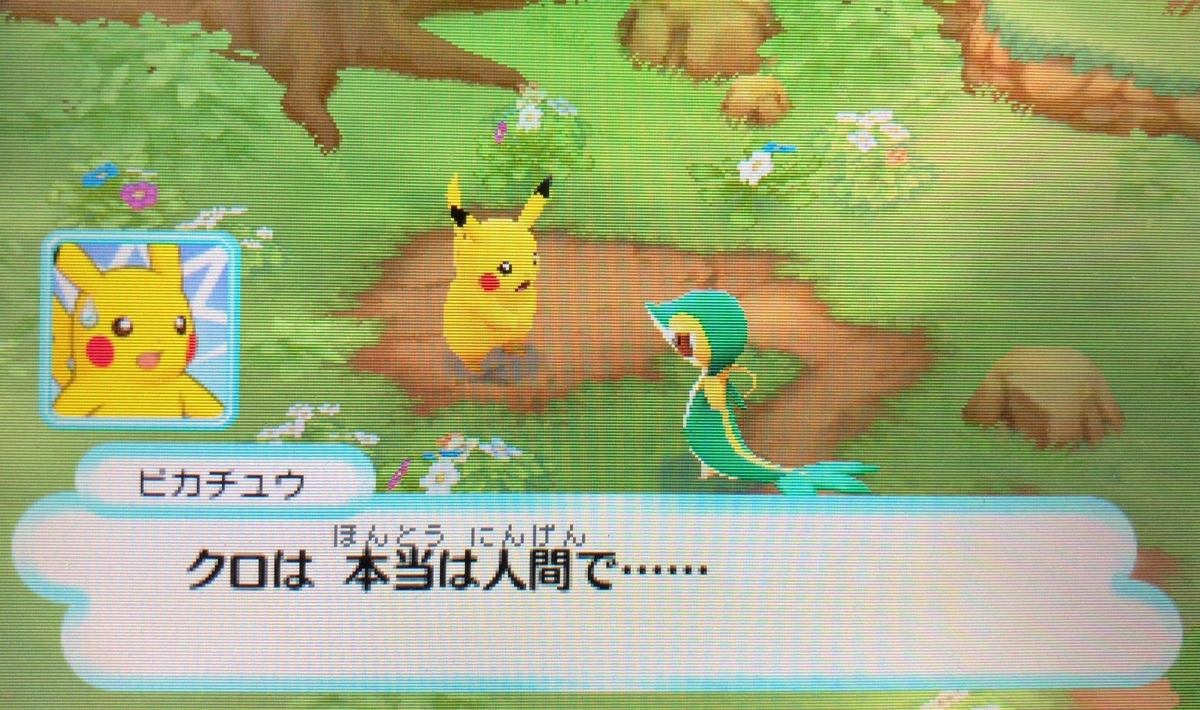 f:id:blacksnivy:20190324021737j:plain f:id:blacksnivy:20190324021737j:plain