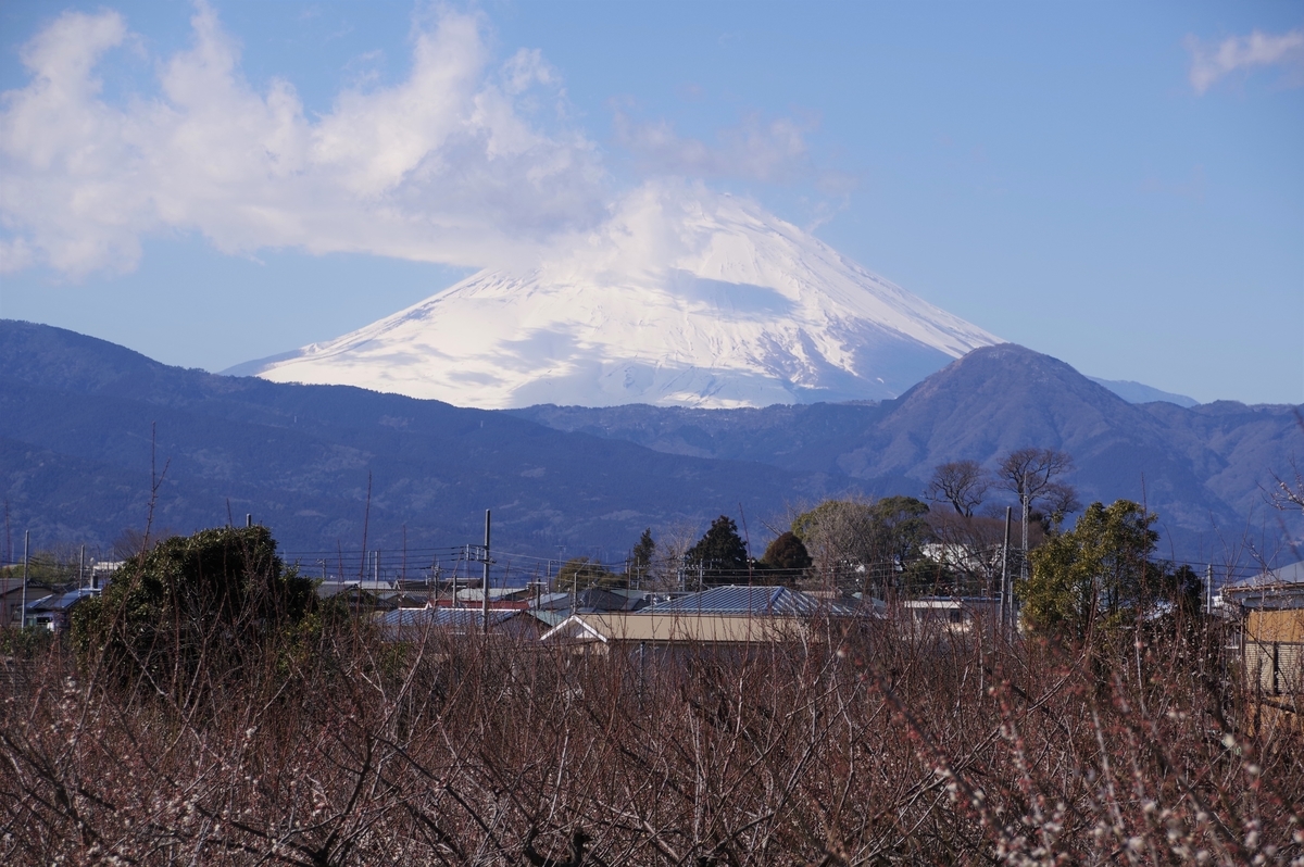 f:id:blacksnivy:20220219220203j:plain